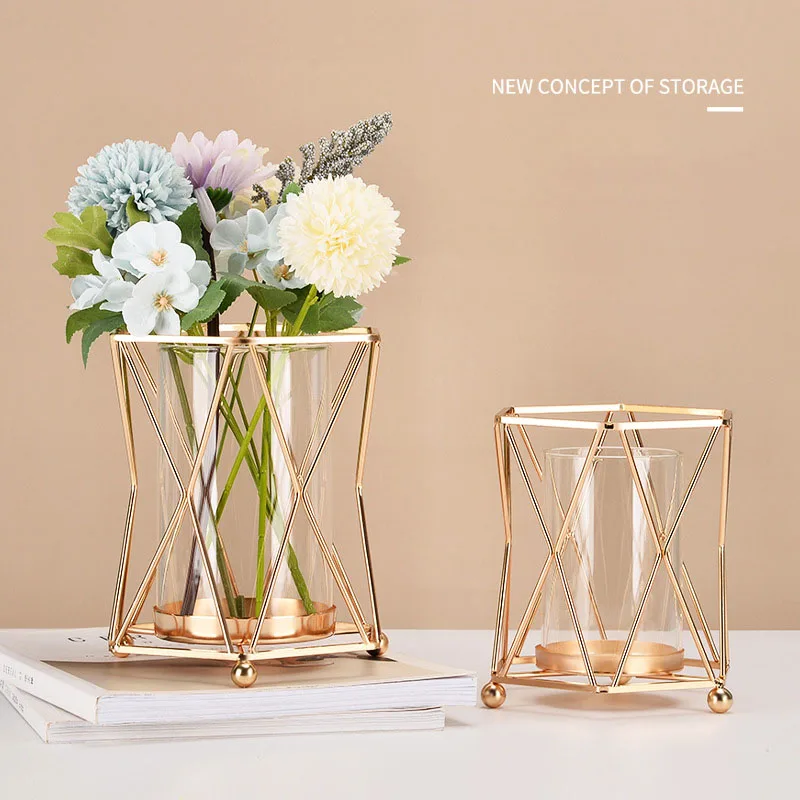 Ваза INS в металлической золотой рамке настольный Большой калибр Геометрическая прозрачная гидропонная стеклянная декоративная ваза для