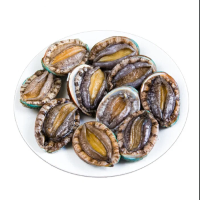 China Factory Frozen Abalone With Good Quality