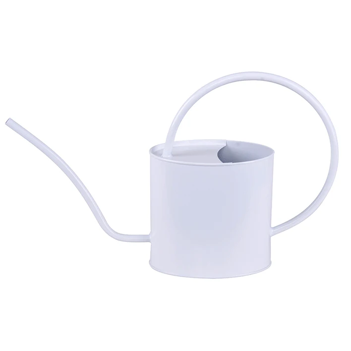 
Nordic simple galvanized iron metal silver powder coat long neck spout plant flower pot watering can 2L 