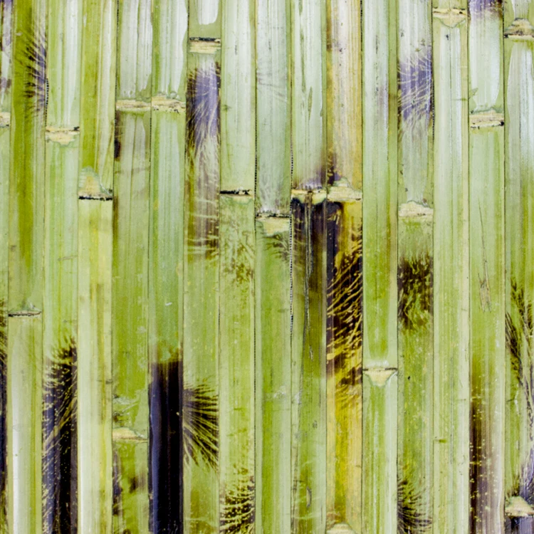 Nature Bamboo Wallpaper hd for Home wall paper Hotel Exterior Wallpaper;