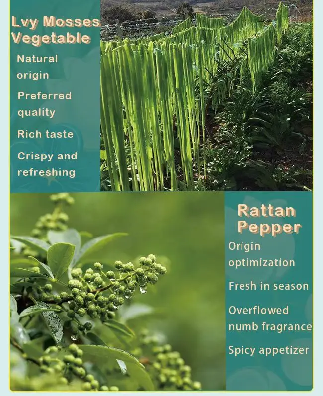 Консервированные овощи, консервированные овощи, мировые закуски лучшего качества, консервированные свежие консервированные овощи, консервированный шпинат