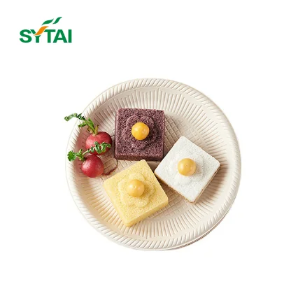 Disposable sugarcane bagasse plates for wedding birthday party package food fruit dish trays