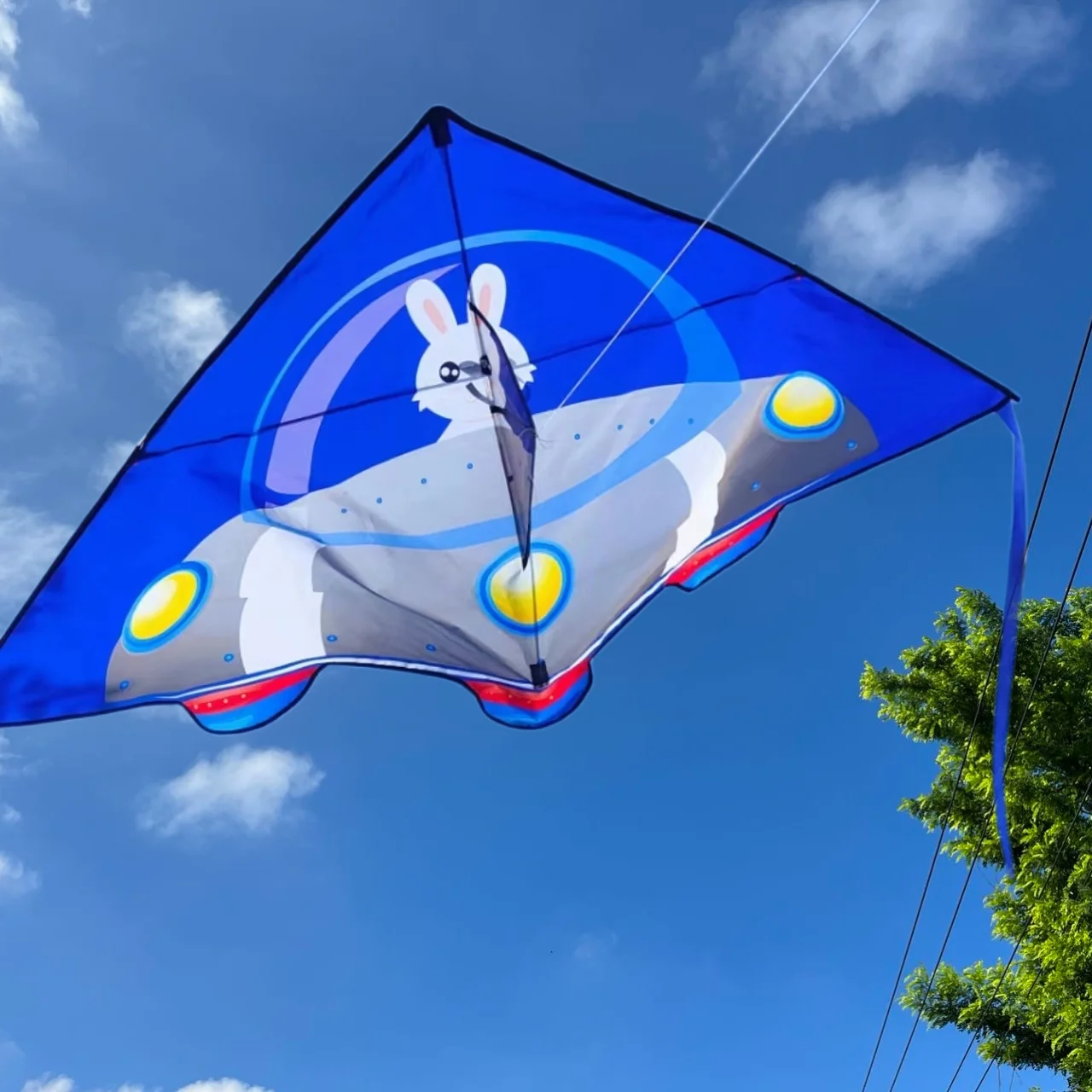 Factory Custom Ripstop Polyester Fabric Delta Shape Kite Modern Design Fashion Kites