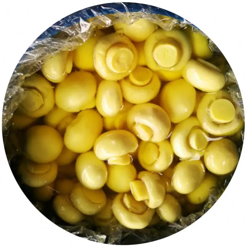 
shiitake champignons in brine 