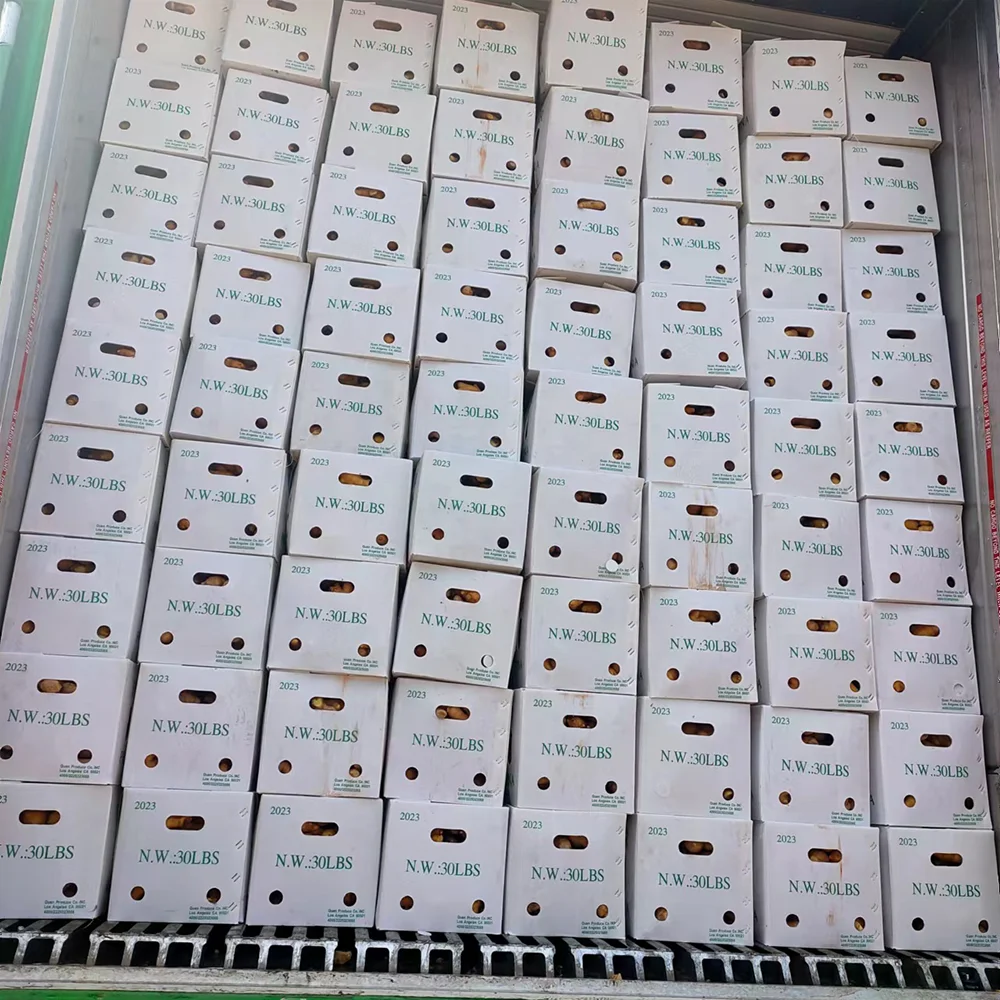 Wholesale carrots price fresh price per ton from China