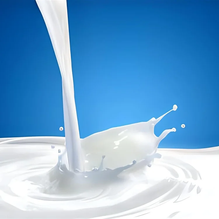 acrylic elastic silicone polymer emulsion paint