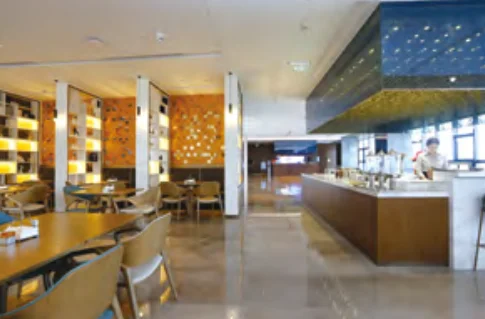 Luxury Hotel Fashion Hotel Negotiates Chairs