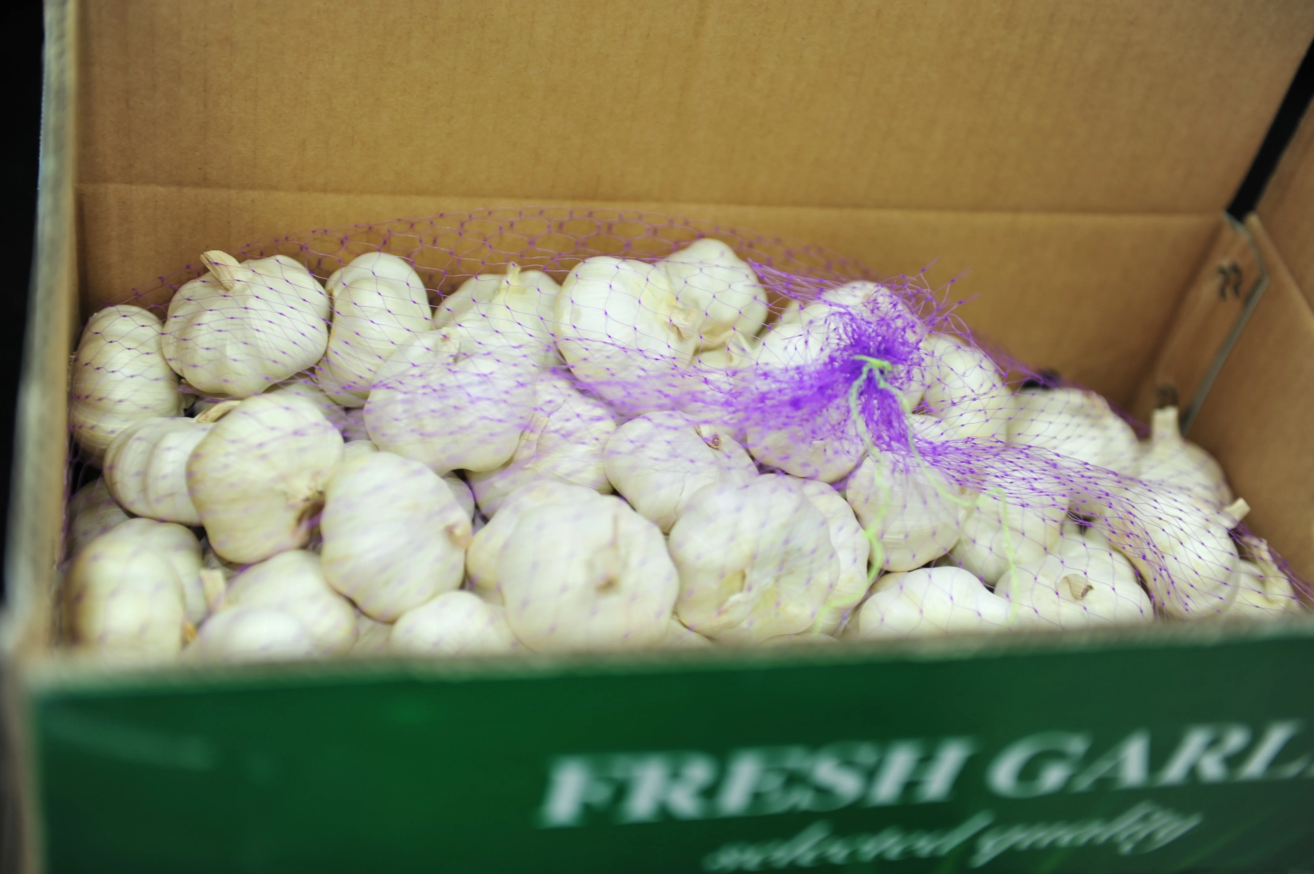 Pure white garlic to export at a low price wholesale