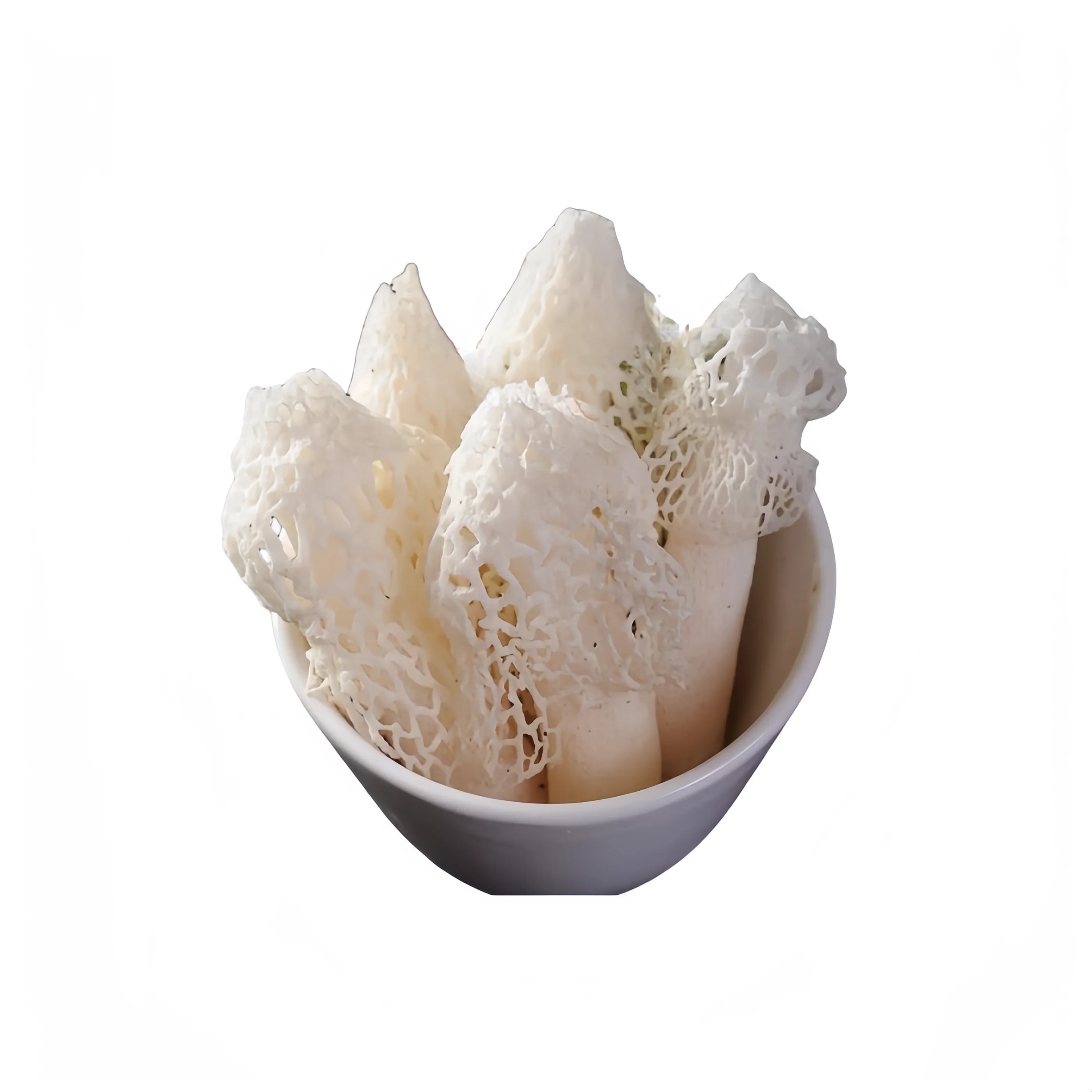 Dried Dictyophora Fungus