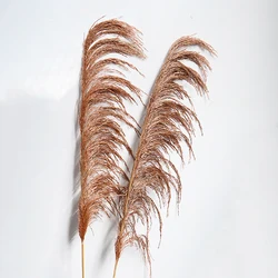 GH-47 Amazon source manufacturers cheap wholesale natural dried flowers hardcore reeds wedding decorations decorative flowers
