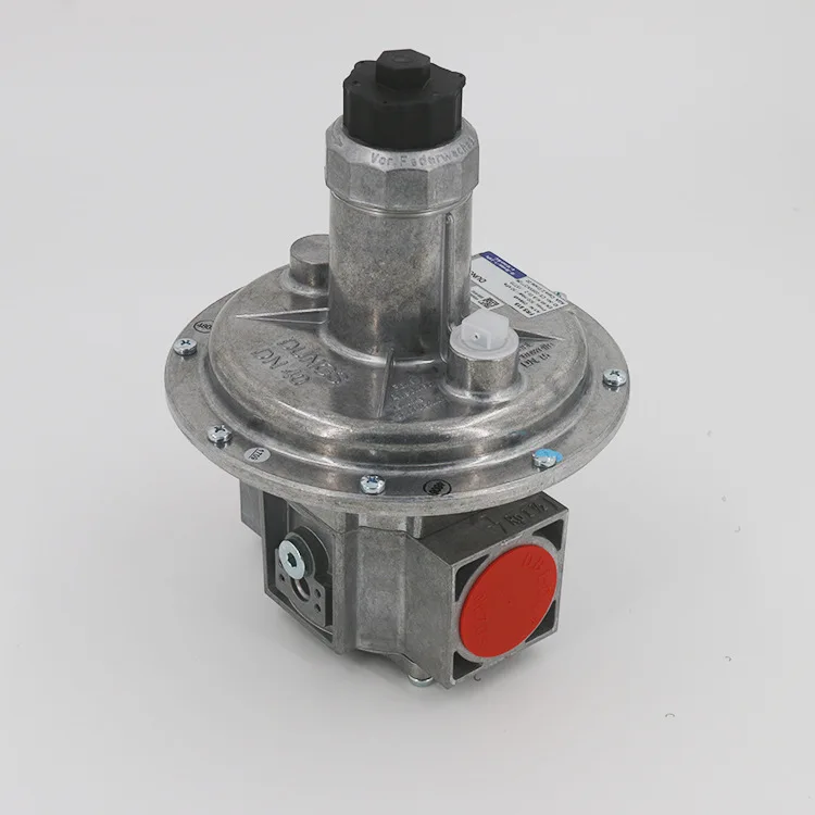 Gas Regulator Dungs Pressure Reducing Valves FRNG 515 Gas Relief Valve Monitoring Systeam For Industrial