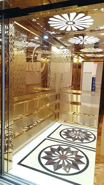 AISI ASTM SUS 304 colored etched stainless steel wall cladding ceiling elevator door
