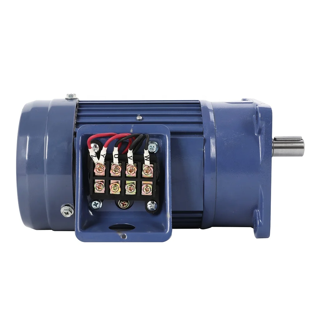 Single Phase 110V/220V 3KW AC Induction Gear Motor With Speed Control Function