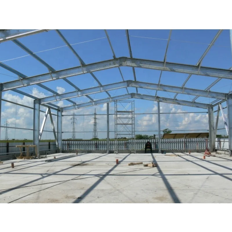 Prefab Steel Structure Construction Wind and Rain Resistance Steel Frame Warehouse Workshop Buildings