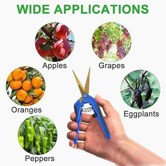 China Cheap  Flowers Herbs Buds Leaves Plant Trimming Scissors Bonsai Pruning Shears
