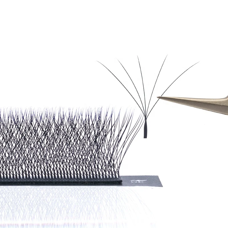 Dammansen 5D Lash Top Factory 5 Fans Eyelash Extensions Korea PBT Eyelash Extensions