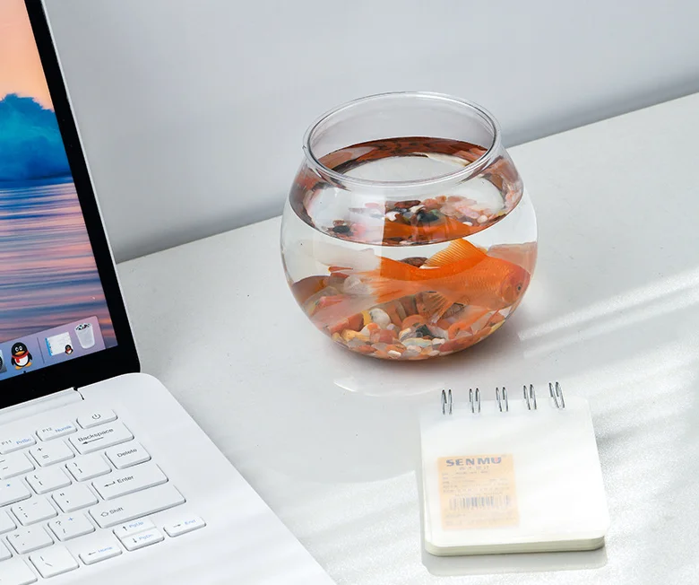 New Arrival Plastic PET material thickened living room fish tank high transparent small desktop fish tank