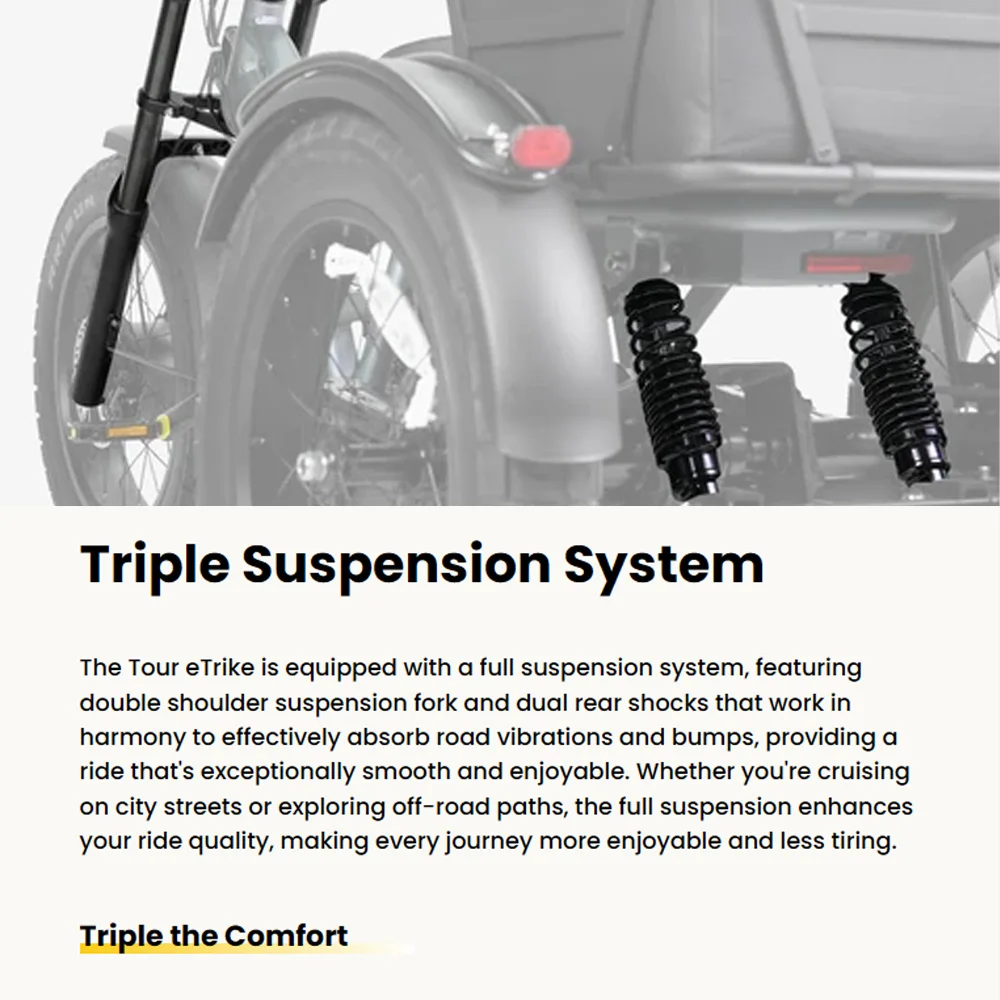 High Quality Cargo Fat Tire Double Batteries Lithium 3 Wheel Electric Bicycle 20inch Etrike Cargo Electric Tricycle for Adults