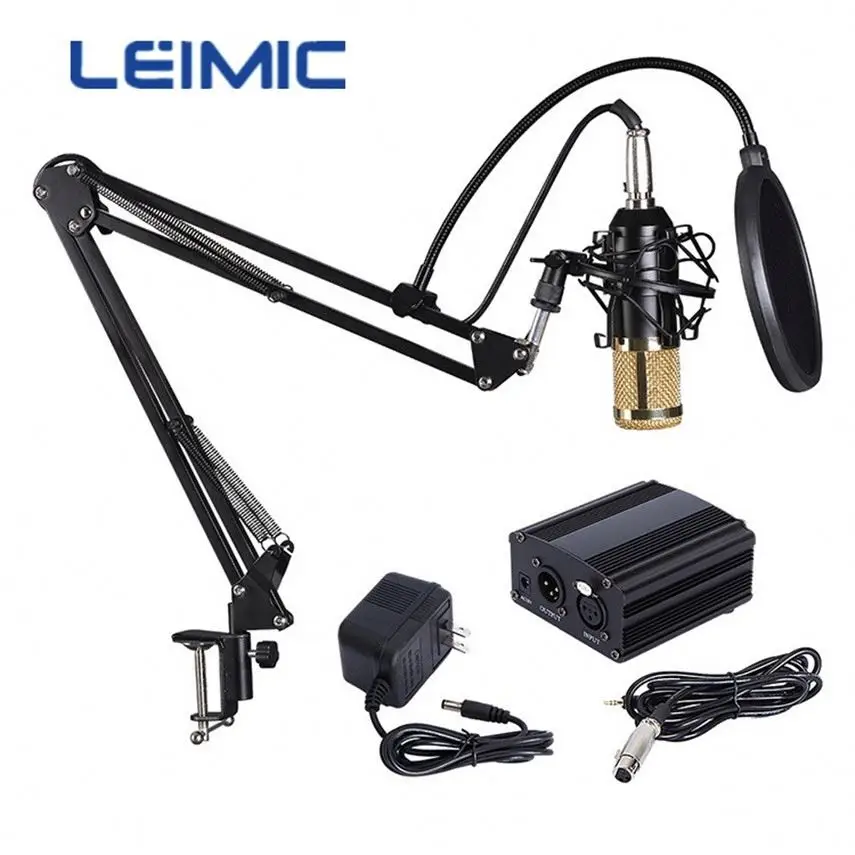 New Arrival  Portable Wireless Microphone