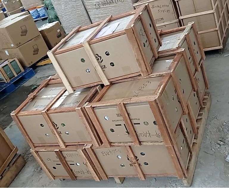 
Hot sale high quality natural plants Ficus pandurata bonsai on sale 