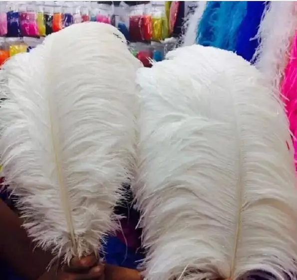 Hot sale Multi sizes 15-80cm carnival festival White Ostrich feather centerpiece for Wedding and party Decoration
