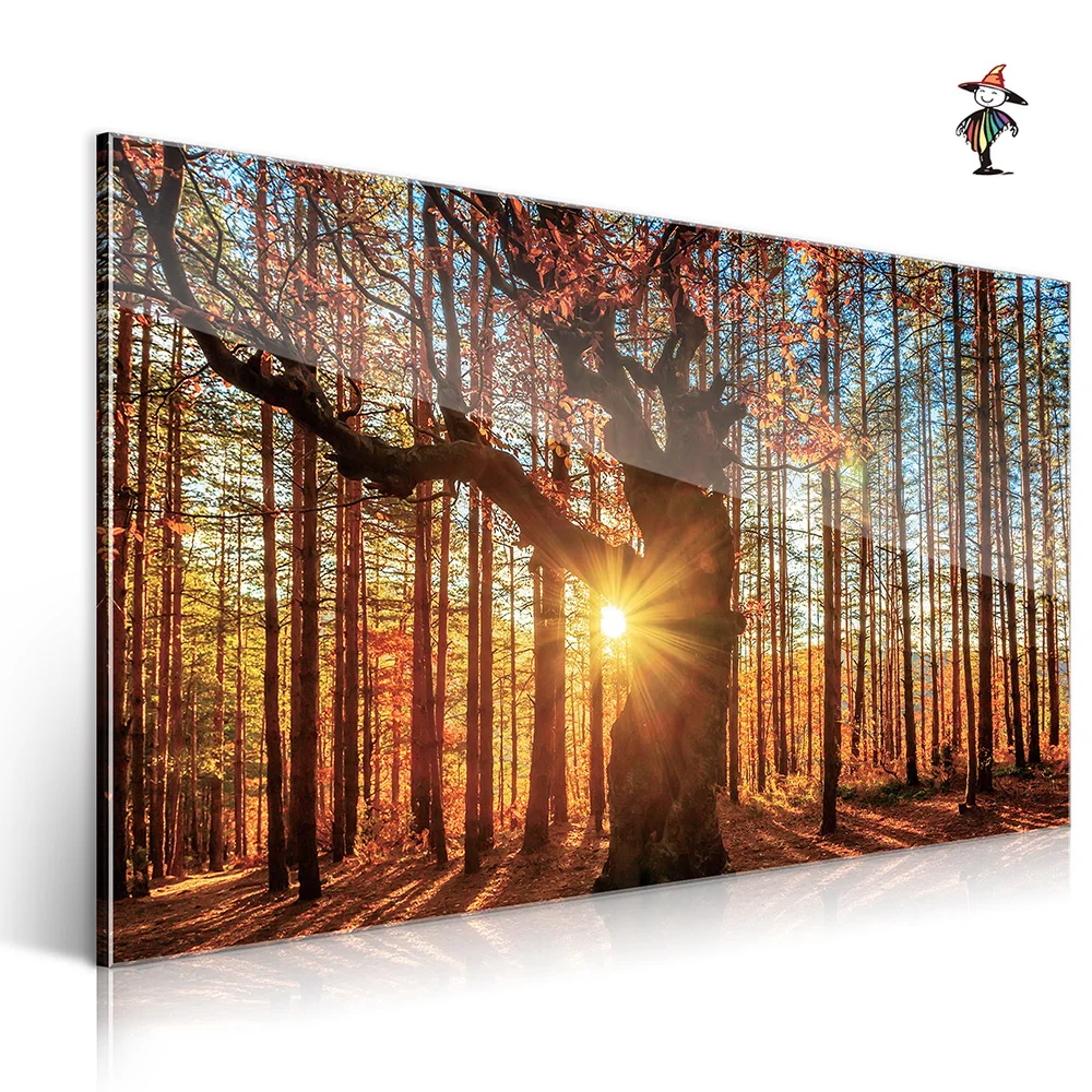 Wholesale Artistic Customization Crystal Clear Arte de la imagen de la pared Acrylic Art Posters Wall Art Home Decor