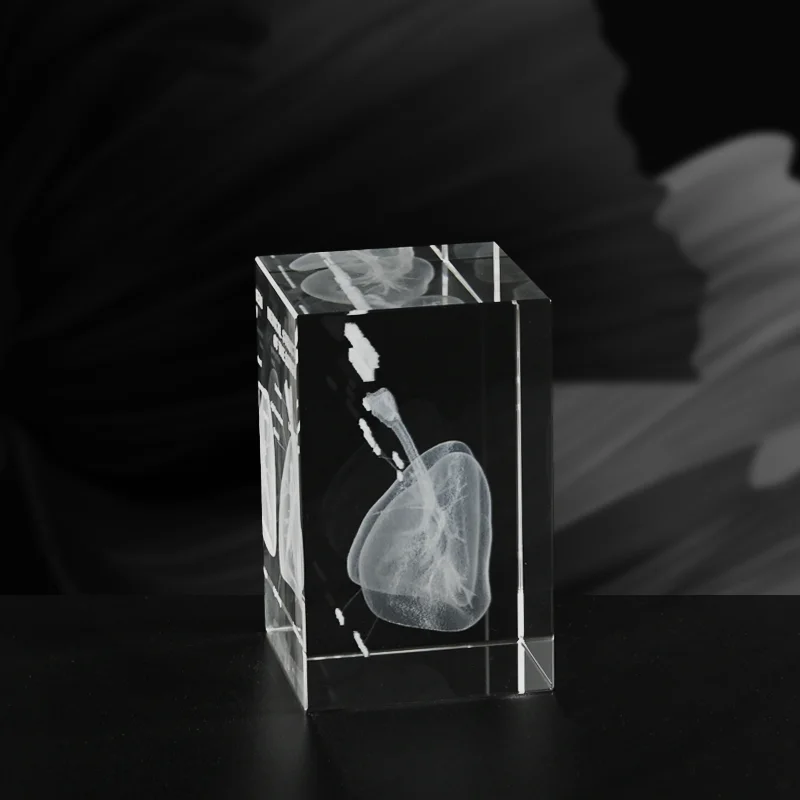 Crystal 3D Laser Engraved Human Anatomical Skeleton Cube Model Statue Paperweight Anatomy Mind Neurology Medical Science Gifts