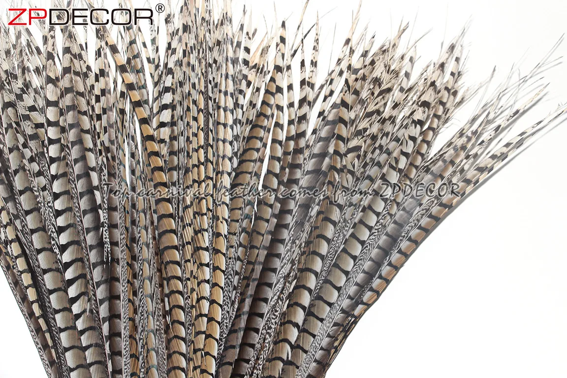 ZPDECOR Factory Wholesale Size 70-80 cm Natural Lady Amherst Pheasant Feather for Brazilian Carnival Decorations