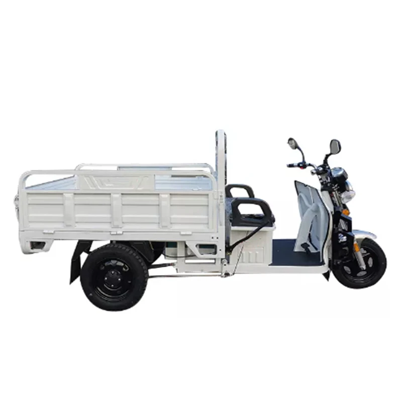 High quality Favorable Long Endurance ElectricSupplying 3 wheel approval auto Electric powered electric tricycle for elderly