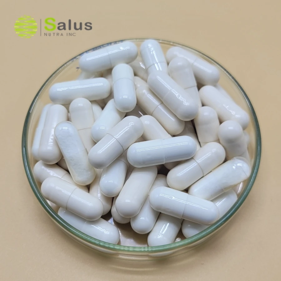 NAC Capsules N-Acetyle Cysteine 500mg NAC Supplement ISO22000 and HALAL Certified Products