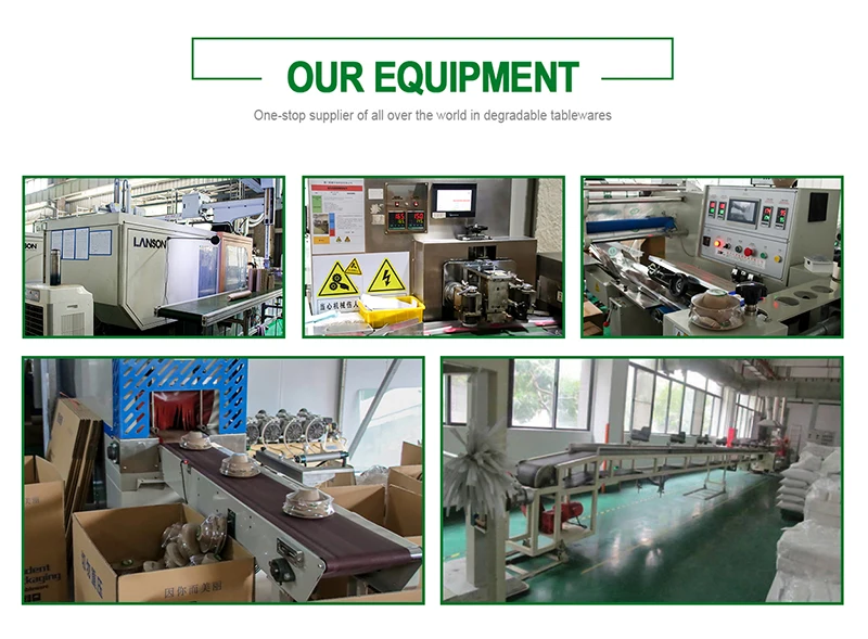 Company Information-2