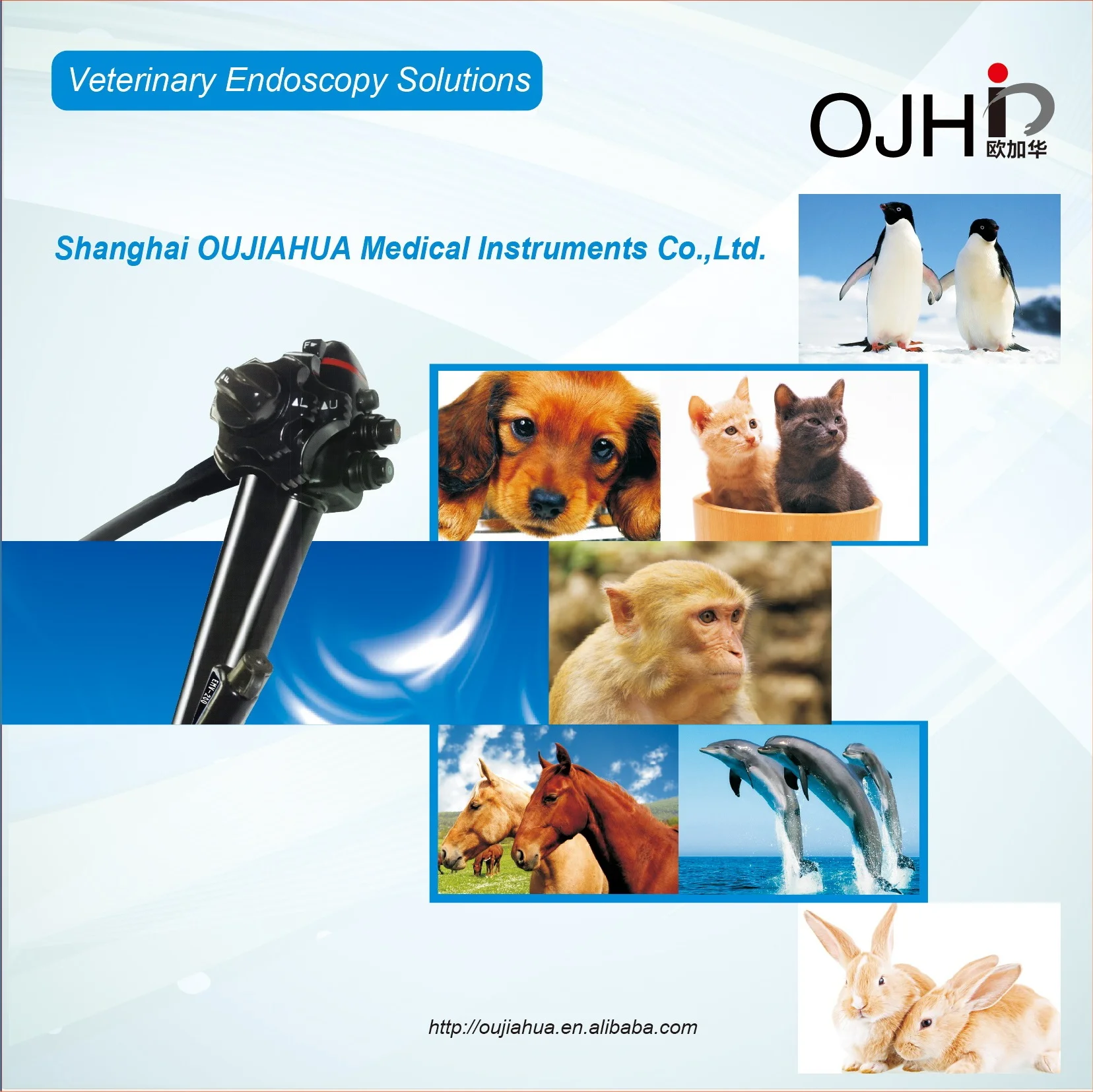 OJH flexible video Veterinary endoscope ,veterinary gastrointestinal endoscope
