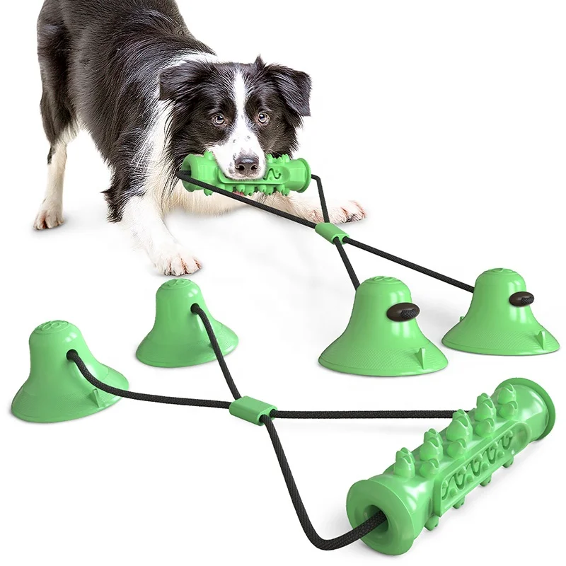 Interactive Dog Chewing Toy with Double Cup,Dental Care and Training Suction Cup Dog Chew Toys