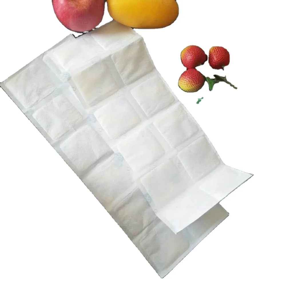 Custom Magical Freezer Hydrate Dry Ice Pack Sheet for Shipping Thermal Box