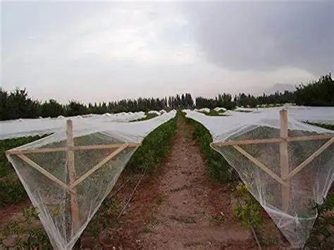 Stabilized anti hail bird net plastic protect netting frost hail round mesh net fruit net protection