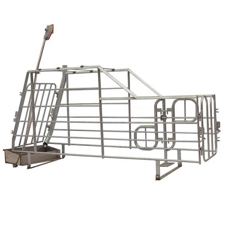 Production StallSow Gestation Bed Galvanized Farrowing Crates Pen Pig paper Flooring Stall