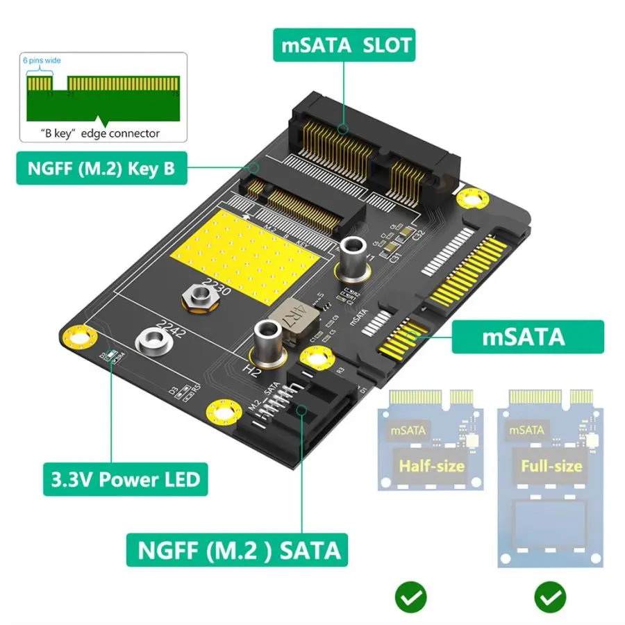 2-in-1 MSATA-M.2 SSD to Dual Port SATA3 Adapter Supports M.2 2230/2242 SSD with SATA Cable