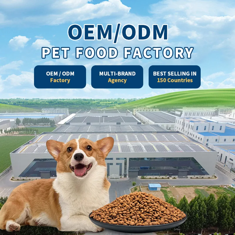 Научная диета крокеты полное питание корм для животных оптом сухой собак производитель все домашних