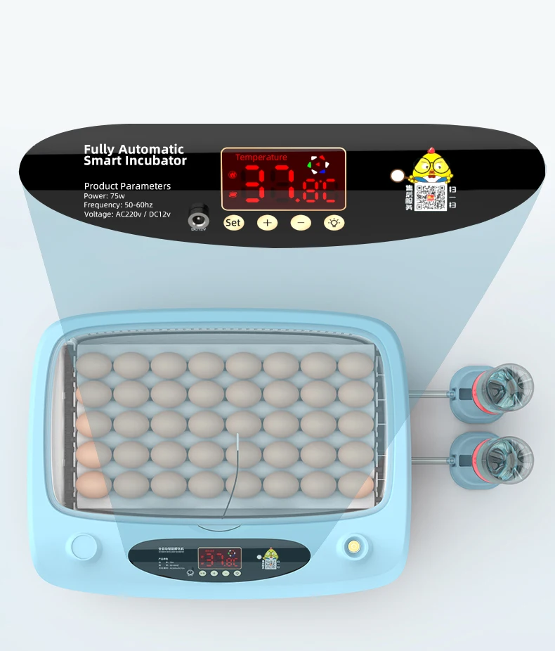 Poultry Egg Equipment Fully Automatic 15 Eggs Capacity Small Egg Incubator