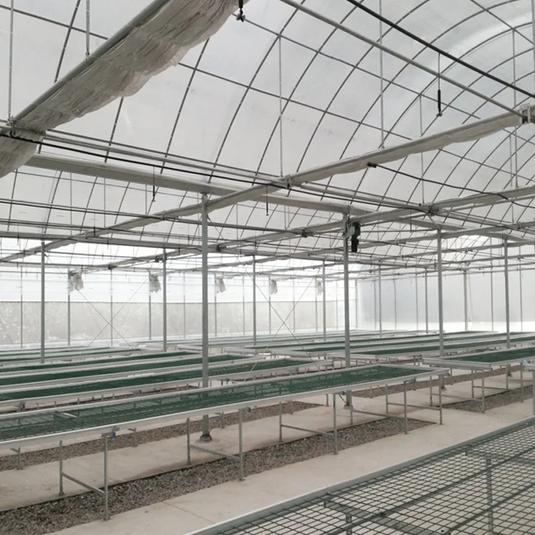 High strength commercial plastic agriculture PE membrane tunnel greenhouse flower vegetable frame greenhouse
