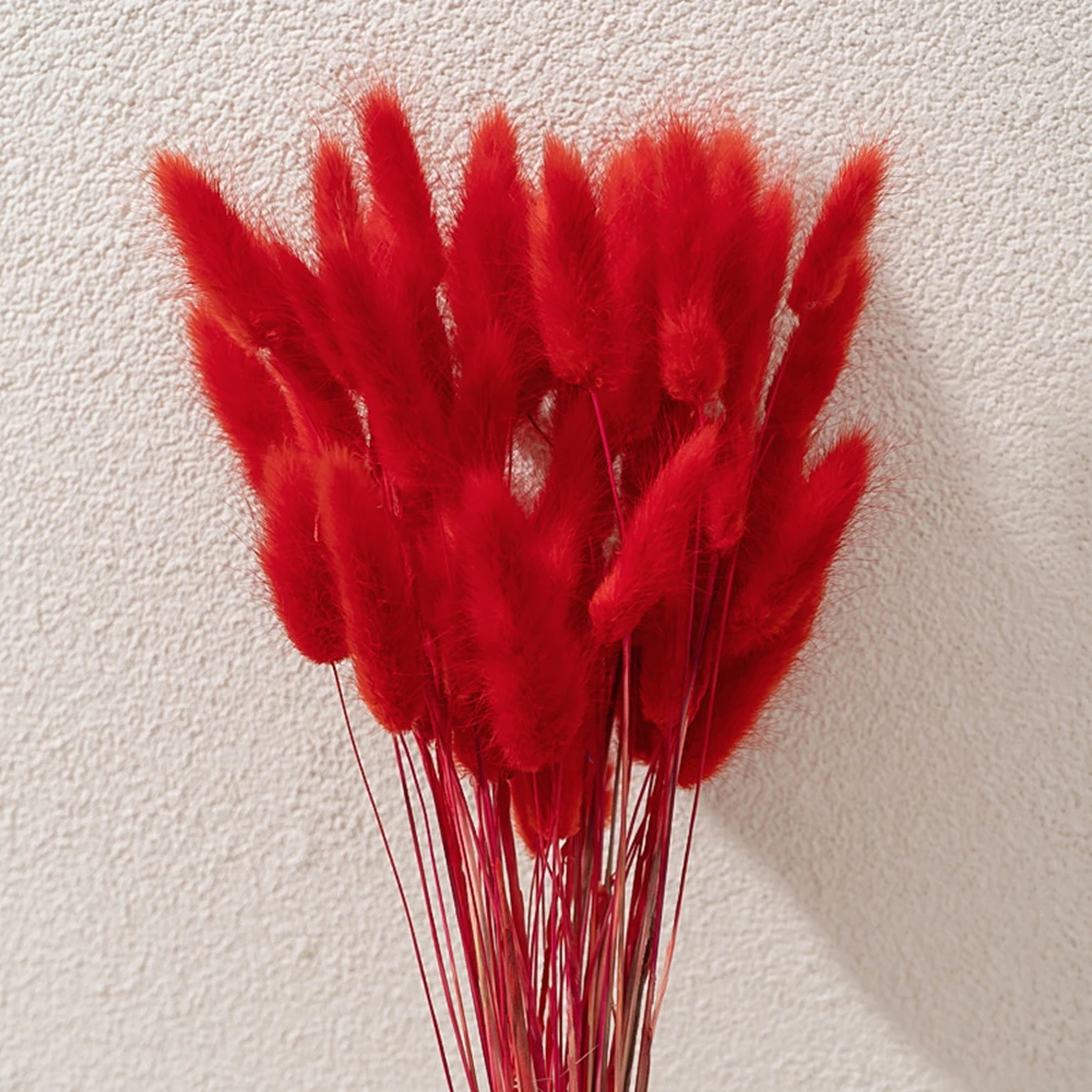 Factory Supply High Quality Decorative Flowers Colorful Bunny Tails Grass Dried Lagurus for Home Wedding Decor