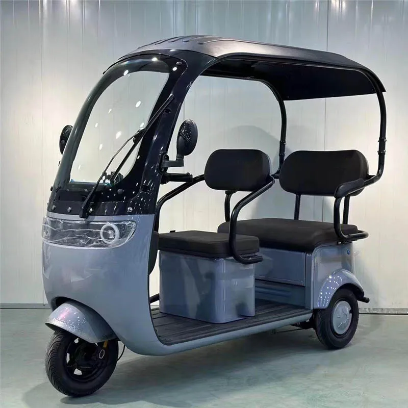 New Product Three Wheel Electric Leisure Scooter Tricycle 600-1200W Adult Electric Tricycles With Roof