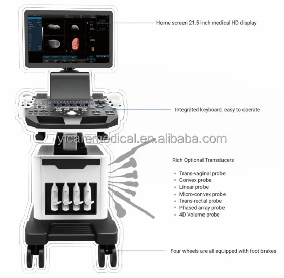 Quality  Primacy High Resolution Color Trolley Color Ultrasonic Diagnostic Machine portable ultrasound scanner