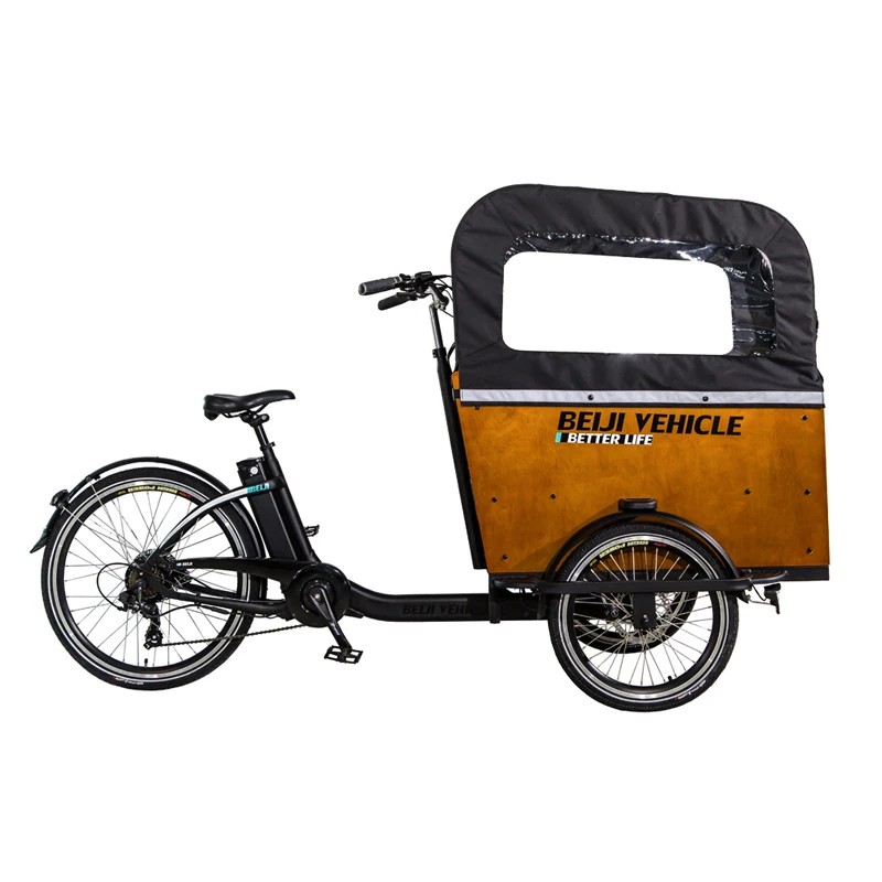 250w electric cargo bike manufacture  3 wheel tricycle for family bike with seats