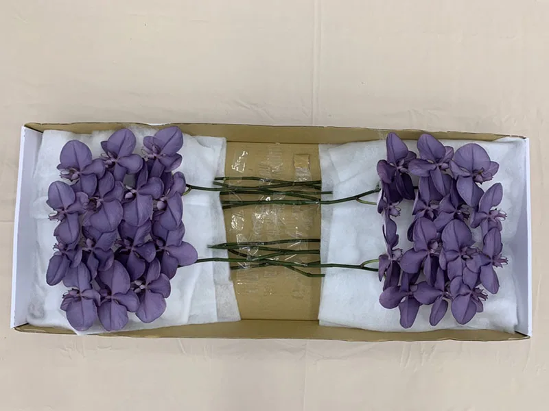 Royal Purple Orchid Butterfly Bouquet Wedding Decoration Fresh Cut