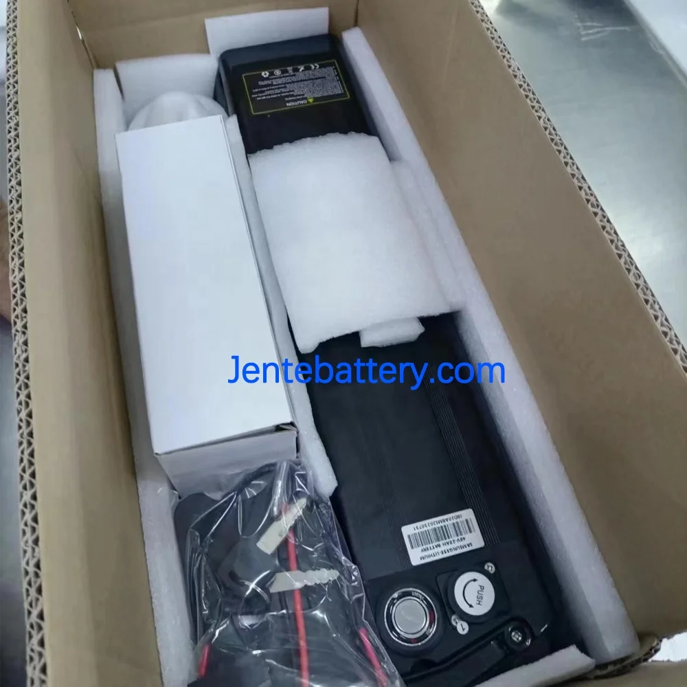 Rechargeable with USB L500MM silver fish 36V 48V 20AH 24AH 28AH lithium battery pack