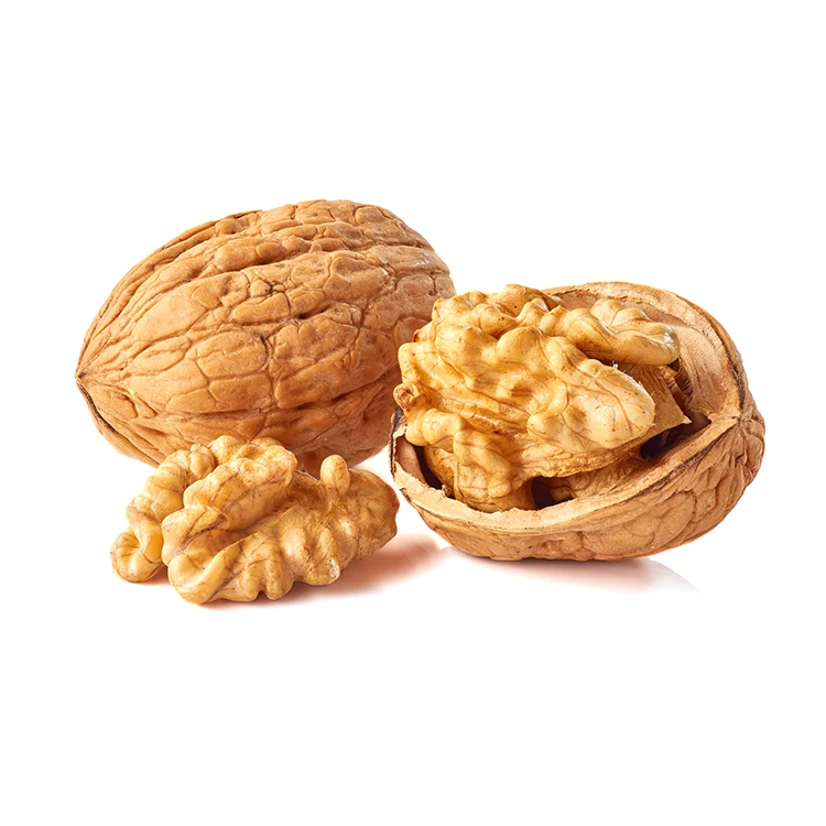 factory price walnut paper shell walnuts nuts walnuts in shell