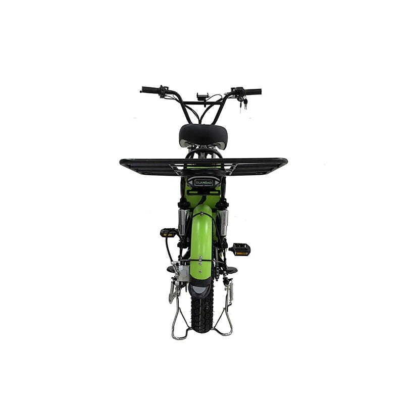 Electric Bike 16*3.0 Fat Tire Electric Delivery Bike Cargo Electric Fatbike 60V Lithium Battery 1000W  Electronic Rear Hub
