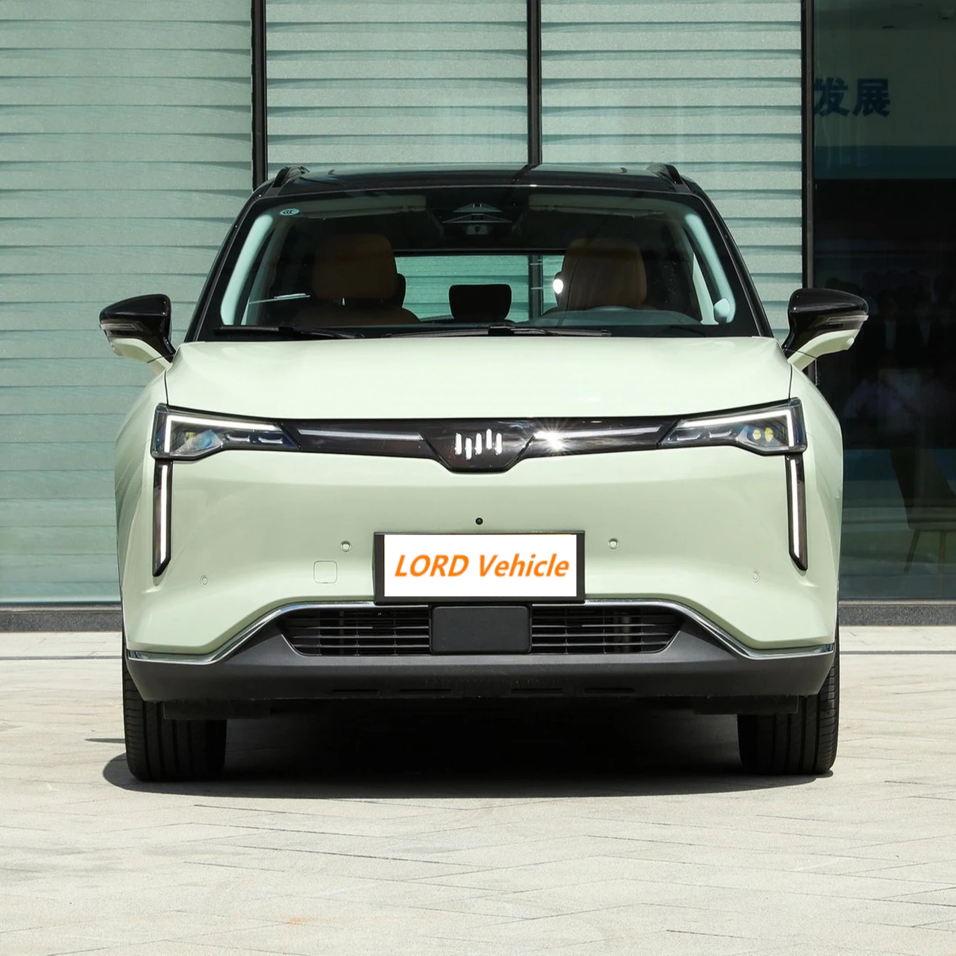Китай, быстрая зарядка, спортивный автомобиль для всей семьи, лидер продаж, внедорожник с высокой скоростью и большим радиусом действия 2021 vm w6 от производителя по низкой цене