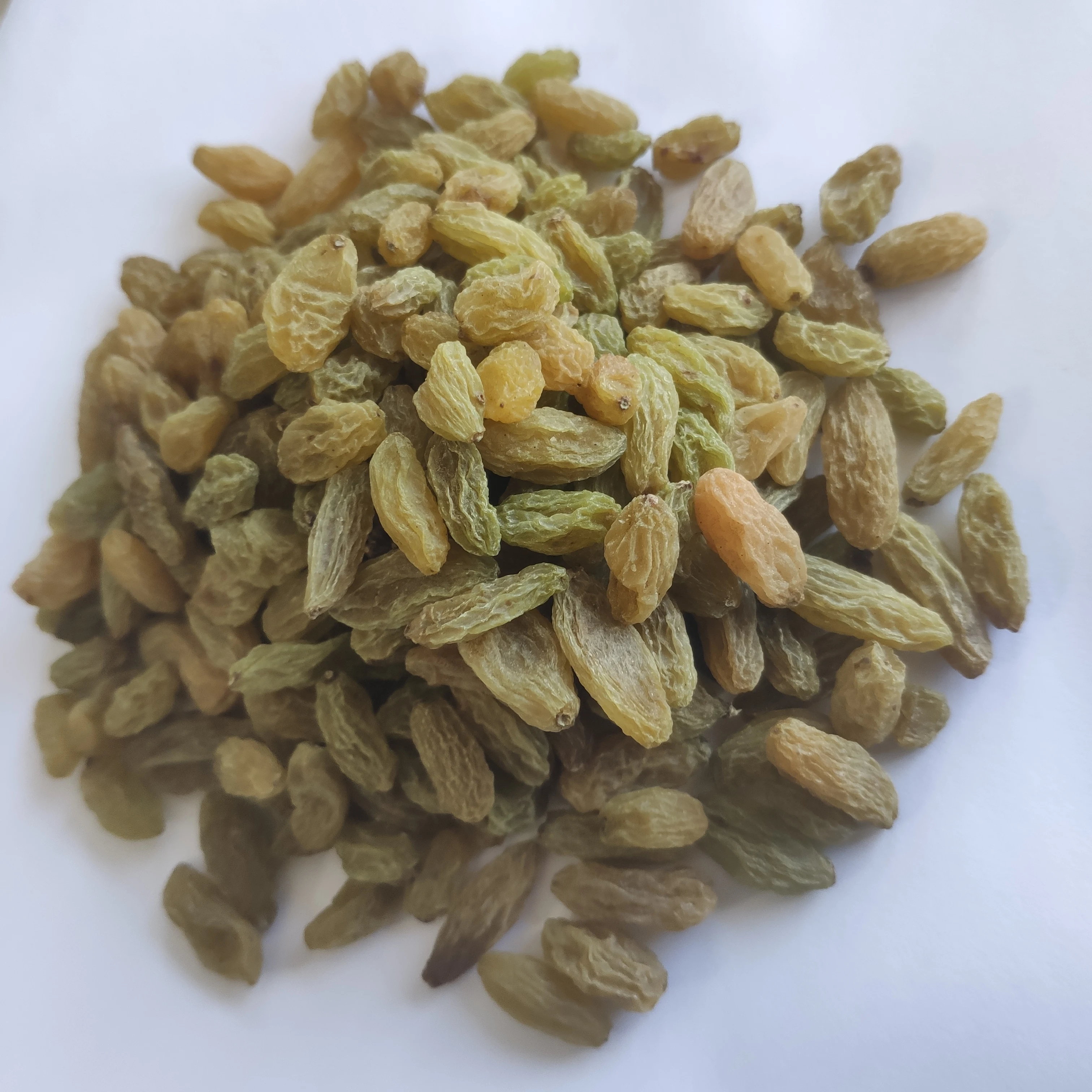 Dried Green Raisin and Green Raisins Wholesale